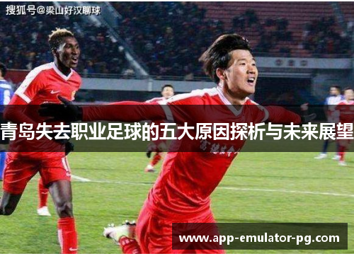 青岛失去职业足球的五大原因探析与未来展望