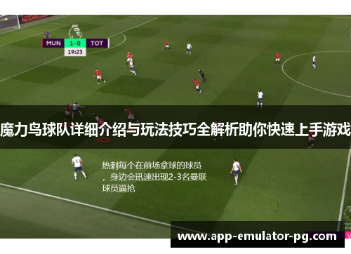 魔力鸟球队详细介绍与玩法技巧全解析助你快速上手游戏