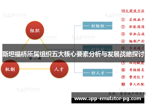 斯坦福桥所属组织五大核心要素分析与发展战略探讨