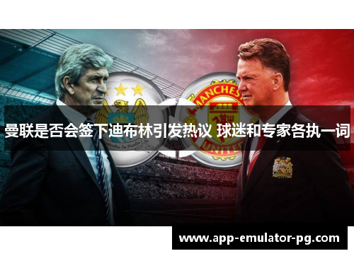 曼联是否会签下迪布林引发热议 球迷和专家各执一词