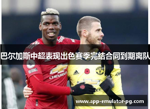 巴尔加斯中超表现出色赛季完结合同到期离队 巴尔加斯中超表现出色赛季完结合同到期离队